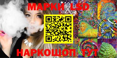 стафф Донской
