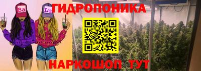стафф Донской