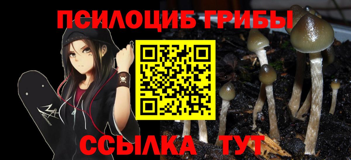 Псков  где продают наркотики  Вход с VPN  Псилоцибиновые грибы Psilocybe 